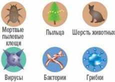 Лечение насморка в домашних условиях народными средствами