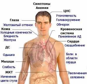 Затрудненное дыхание, одышка и нехватка воздуха от чего бывает?