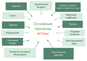 Признаки астмы у взрослых