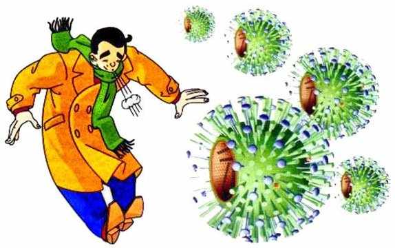 возбудители простуды