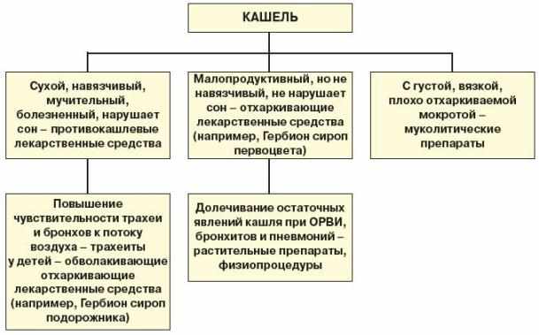 Алоэ с медом от кашля - лечение и рецепты