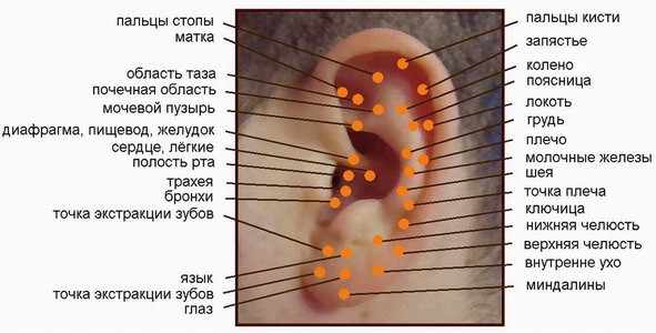 акупунтурные точки