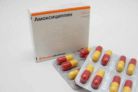 amixicillin