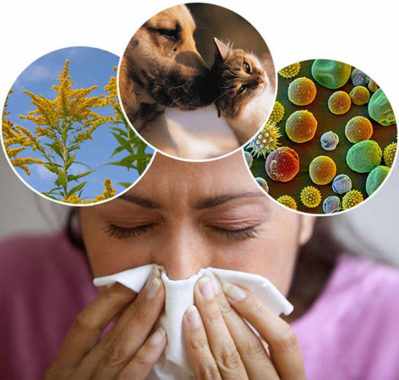 Как определить, аллергия у вас или простуда