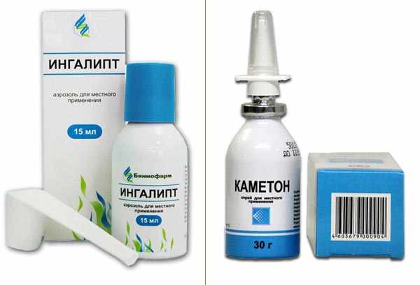 ingalipt-ili-kameton